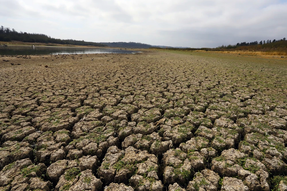 ONU lamenta el fracaso para mantener temperatura del planeta bajo el aumento de 1,5 grados: Pide cambio de rumbo