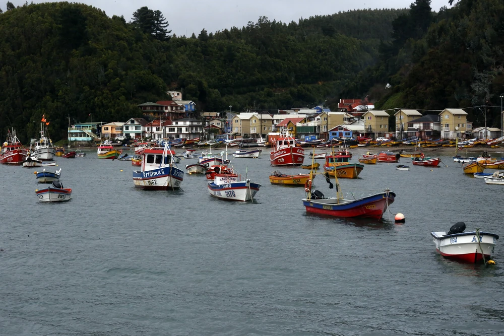 Nuevas pesquerías a más de 5.000 embarcaciones: Gobierno acoge solicitud de la pesca artesanal
