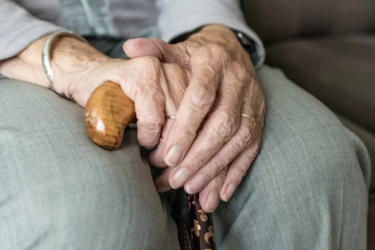 Pago de contribuciones con tope máximo: Proyecto de ley cambia reglas del juego a adultos mayores