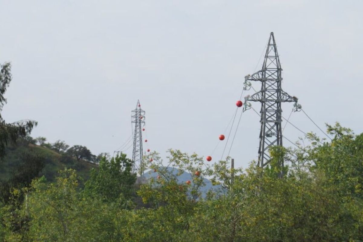 La cuestionada evaluación ambiental del Parque Fotovoltaico Los Corrales de Verano